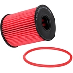 Order Oil Filter by K & N ENGINEERING - HP7041 For Your Vehicle