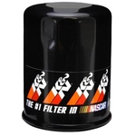 Order K & N ENGINEERING - PS1010 - Oil Filter For Your Vehicle