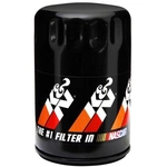 Order K & N ENGINEERING - PS2006 - Oil Filter For Your Vehicle