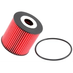 Order K & N ENGINEERING - PS7002 - Oil Filter For Your Vehicle