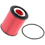 Order K & N ENGINEERING - PS7005 - Oil Filter For Your Vehicle