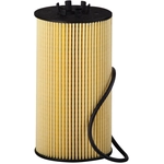 Order PRONTO FILTERS - PO5579EX - Engine Filtre à l'huile For Your Vehicle