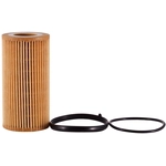 Order PRONTO FILTERS - PO5581 - Engine Oil Filter For Your Vehicle