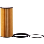 Order PRONTO FILTERS - PO5598EX - Engine Oil Filter For Your Vehicle