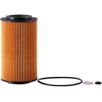 Order PRONTO FILTERS - PO5610EX - Engine Oil Filter For Your Vehicle