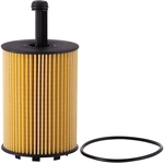 Order PRONTO FILTERS - PO8113EX - Engine Oil Filter For Your Vehicle