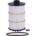 Order PRONTO FILTERS - PO9981EX - Engine Oil Filter For Your Vehicle