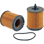 Order PROTEC AUTOPARTS - PXL57082MP - Oil Filter (Pack of 12) For Your Vehicle
