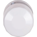 Order PUREZONE OIL & AIR FILTERS - 8-51036 - Oil Filter For Your Vehicle