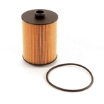 Order Oil Filter by TRANSIT WAREHOUSE - 56-CH11242 For Your Vehicle
