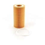 Order Oil Filter by TRANSIT WAREHOUSE - 56-CH9954 For Your Vehicle