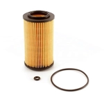 Order TRANSIT WAREHOUSE - 56-CH9999 - Oil Filter For Your Vehicle