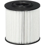 Order WIX - 57021XP - Oil Filter For Your Vehicle