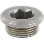 Order Oil Galley Plug by CRP/REIN - HWP0065 For Your Vehicle
