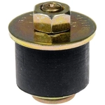 Order Oil Galley Plug by DORMAN/AUTOGRADE - 02600 For Your Vehicle