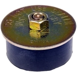 Order Oil Galley Plug by DORMAN/AUTOGRADE - 02605 For Your Vehicle
