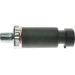 Order STANDARD/T-SERIES - PS245T - Oil Pressure Sender or Switch For Gauge For Your Vehicle
