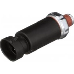 Order Oil Pressure Sender or Switch For Light by BWD AUTOMOTIVE - S4078 For Your Vehicle