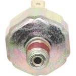 Order Oil Pressure Sender or Switch by HOLSTEIN - 2OPS0037 For Your Vehicle