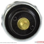 Order Oil Pressure Sender or Switch by MOTORCRAFT - SW1311 For Your Vehicle