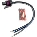 Order ACDELCO - PT2319 - Professional Pigtail Connectors are connectors For Your Vehicle