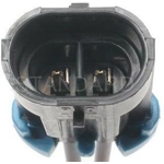 Order Oil Pressure Switch Connector by BLUE STREAK (HYGRADE MOTOR) - S811 For Your Vehicle