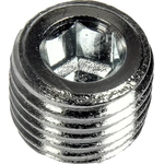 Order Oil Pump Plug by DORMAN (OE SOLUTIONS) - 090026 For Your Vehicle