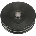 Order DORMAN - 300024 - Power Steering Pump Pulley For Your Vehicle