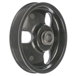 Order DORMAN - 300-100 - Power Steering Pump Pulley For Your Vehicle