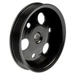 Order DORMAN - 300130 - Power Steering Pump Pulley For Your Vehicle