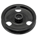 Order DORMAN - 300-311 - Power Steering Pump Pulley For Your Vehicle