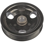 Order DORMAN - 300-319 - Power Steering Pump Pulley For Your Vehicle