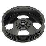 Order DORMAN - 300-551 - Power Steering Pump Pulley For Your Vehicle