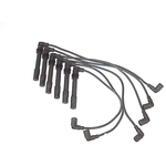 Order Original Equipment Replacement Ignition Wire Set by DENSO - 671-6165 For Your Vehicle