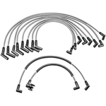Order Original Equipment Replacement Ignition Wire Set by DENSO - 671-8078 For Your Vehicle