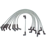 Order Original Equipment Replacement Ignition Wire Set by DENSO - 671-8081 For Your Vehicle
