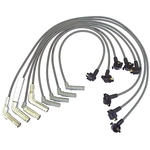 Order Original Equipment Replacement Ignition Wire Set by DENSO - 671-8108 For Your Vehicle