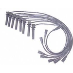 Order Original Equipment Replacement Ignition Wire Set by DENSO - 671-8127 For Your Vehicle