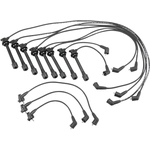 Order Original Equipment Replacement Ignition Wire Set by DENSO - 671-8143 For Your Vehicle