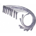 Order Original Equipment Replacement Ignition Wire Set by DENSO - 671-8156 For Your Vehicle
