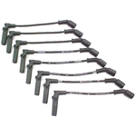 Order Original Equipment Replacement Ignition Wire Set by DENSO - 671-8160 For Your Vehicle