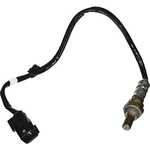 Order Oxygen Sensor by DENSO - 234-4439 For Your Vehicle