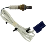 Order Oxygen Sensor by NGK - 24406 For Your Vehicle