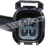 Order Oxygen Sensor by WALKER PRODUCTS - 250-241196 For Your Vehicle