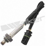 Order Oxygen Sensor by WALKER PRODUCTS - 250-24516 For Your Vehicle
