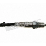 Order Oxygen Sensor by WALKER PRODUCTS - 250-25115 For Your Vehicle