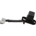 Order Park Assist Camera by BLUE STREAK (HYGRADE MOTOR) - PAC214 For Your Vehicle