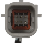 Order Park Assist Camera by BLUE STREAK (HYGRADE MOTOR) - PAC438 For Your Vehicle