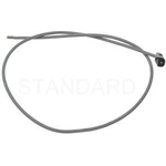 Order Parking Brake Connector by BLUE STREAK (HYGRADE MOTOR) - S908 For Your Vehicle