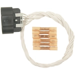 Order BWD AUTOMOTIVE - PT978 - Ignition Connecteur de bobine For Your Vehicle